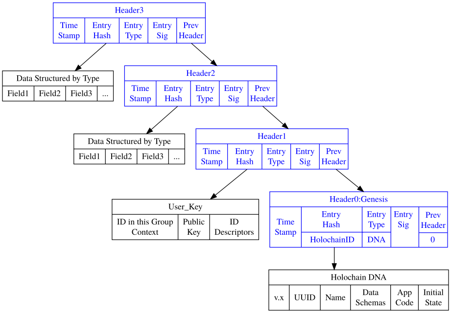 Holochain_Source